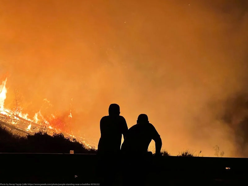 Bushfires, Floods, and Insurance